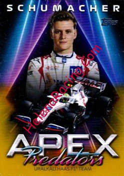 2021 Apex-Gold.jpg