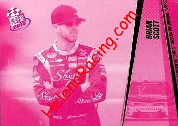 2014 Pass-Pink.jpg