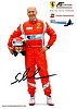 Card 2013 FIA-GTR (P).jpg
