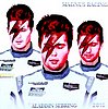 Card 2016 Sebring 12 h-2 (NS).jpg