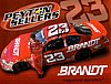 Card 2010 Nationwide Series Brandt (S).JPG