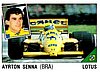 1987 Panini.jpg