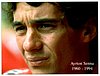 2005 Sporting-08-Profile.jpg