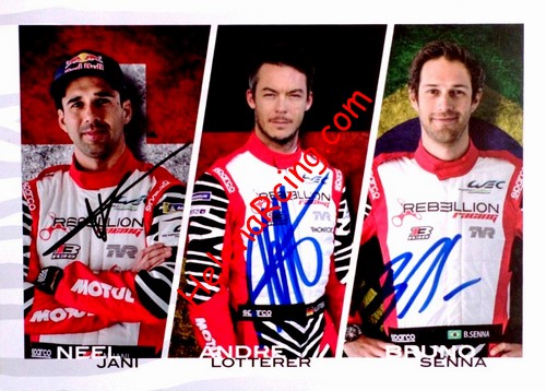 Card 2018-2019 WEC-LMP1 Verso (S).jpg