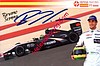 Card 2010 Formula 1 (S).jpg