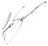 Autograph.jpg