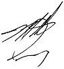 Autograph.jpg