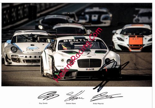 Card 2014 Blancain-Endurance (PS).jpg