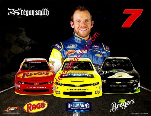Card 2014 Nationwide Series-Hellmann (NS).jpg