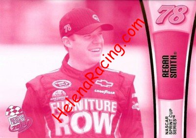 2013 Pass-Pink.jpg
