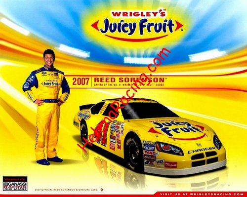 Card 2007 Busch Series (NS).jpg