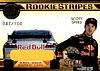 2009 VIP-Rookie Stripes.jpg
