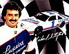 Card 1994 Busch Series-Luxaire (P).jpg