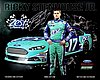 Card 2013 Sprint Cup-Zest (S).jpg