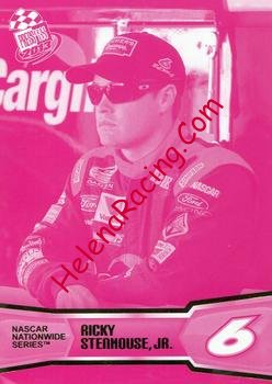 2013 Pass-1-Pink.jpg