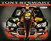Card 2013 Sprint Cup (NS).jpg