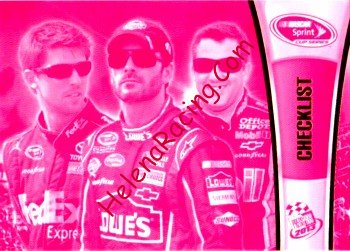 2013 Checklist-Pink.jpg
