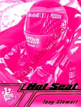 2013 Hot Seat-Pink.jpg