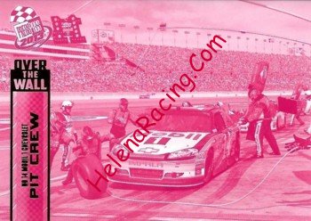 2013 Over the Wall-Pink.jpg