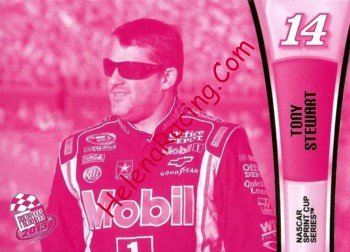 2013 Pass-1-Pink.jpg