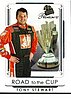 2007 Premium-Road to the Cup.jpg