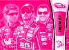 2013 Checklist-Pink.jpg