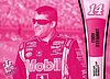 2013 Pass-1-Pink.jpg