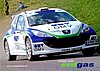 Card 2010 Rally-Austria (NS).jpg