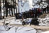 Card 2020 WRC-4 (S).jpg