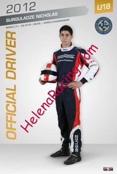 Card 2012 Kart (NS).jpg