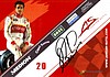 Card 2008 Formula 1 (P).jpg